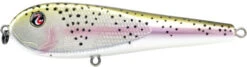 River2Sea ICBM 120 Hard Stickbait/Glidebait -Fishing Gear Sale 02RainbowTrout eadba6ed 8576 49bb ae99 7c2d8eb79b04