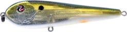 River2Sea ICBM 120 Hard Stickbait/Glidebait -Fishing Gear Sale 03IKnowIt