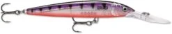 Rapala Down Deep Husky Jerk 10 Deep Diving Jerkbait -Fishing Gear Sale 12564593639479