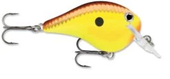 Rapala DT Fat 03 Shallow Square Bill Crankbait -Fishing Gear Sale 31333941215321