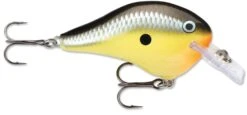 Rapala DT Fat 03 Shallow Square Bill Crankbait -Fishing Gear Sale 31333941280857