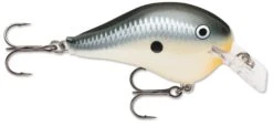 Rapala DT Fat 03 Shallow Square Bill Crankbait -Fishing Gear Sale 31333941313625