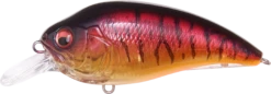 Megabass Super-Z Z-1 Medium Diving Crankbait -Fishing Gear Sale 31680779092057