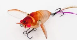 Chasebaits Ripple Cicada 1 3/4 Inch Wakebait Crawler -Fishing Gear Sale 32233146941529