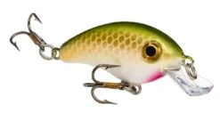 Strike King Pro Model Bitsy Minnow Ultralight Crankbait -Fishing Gear Sale 39298391244889