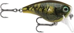 Rapala BX Mid-Brat 05 Squarebill Crankbait 26 Rapala BX Mid-Brat 05 Squarebill Crankbait -Fishing Gear Sale 39740178366553