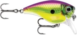 Rapala BX Mid-Brat 05 Squarebill Crankbait 28 Rapala BX Mid-Brat 05 Squarebill Crankbait -Fishing Gear Sale 39740178432089