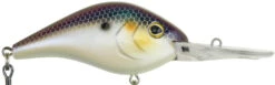 Berkley Dredger Deep Diving Crankbait Deeper Diving Models -Fishing Gear Sale 40325002985561