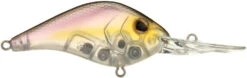 Berkley Dredger Deep Diving Crankbait Deeper Diving Models -Fishing Gear Sale 40325003182169