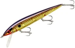 Smithwick Elite 8 Rogue 4 1/2 Inch Suspending Jerkbait -Fishing Gear Sale ADR4213