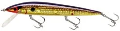 Smithwick Elite 8 Rogue 4 1/2 Inch Suspending Jerkbait -Fishing Gear Sale ADR4213 427dcaa6 8bc9 4645 9527 5e6203b63ad1