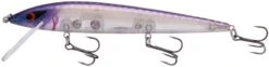 Smithwick Elite 8 Rogue 4 1/2 Inch Suspending Jerkbait -Fishing Gear Sale ADR4279