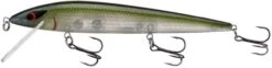 Smithwick Elite 8 Rogue 4 1/2 Inch Suspending Jerkbait -Fishing Gear Sale ADR4281