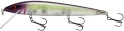 Smithwick Elite 8 Rogue 4 1/2 Inch Suspending Jerkbait -Fishing Gear Sale ADR4282