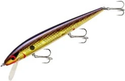 Smithwick Perfect 10 Rogue 5 1/2 Inch Deep Diving Suspending Jerkbait -Fishing Gear Sale ADR5213