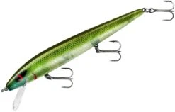 Smithwick Perfect 10 Rogue 5 1/2 Inch Deep Diving Suspending Jerkbait -Fishing Gear Sale ADR5281