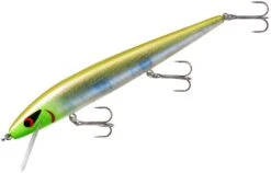 Smithwick Perfect 10 Rogue 5 1/2 Inch Deep Diving Suspending Jerkbait -Fishing Gear Sale ADR5283