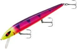 Smithwick Perfect 10 Rogue 5 1/2 Inch Deep Diving Suspending Jerkbait -Fishing Gear Sale ADR5291