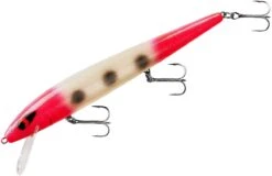 Smithwick Perfect 10 Rogue 5 1/2 Inch Deep Diving Suspending Jerkbait -Fishing Gear Sale ADR5293
