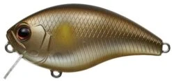 Evergreen International CH-1 Waking Crankbait -Fishing Gear Sale Ayu a3f83c93 32e2 44fc 9ac7 d61fadd3fe89