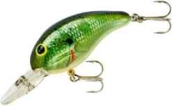Bandit 200 Series Medium Diving Crankbait -Fishing Gear Sale BDT2B38