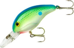 Bandit 200 Series Medium Diving Crankbait -Fishing Gear Sale BDT2D01