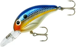 Bandit 200 Series Medium Diving Crankbait -Fishing Gear Sale BDT2D62
