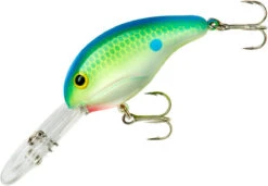 Bandit 300 Series Deep Diving Crankbait -Fishing Gear Sale BDT3D01