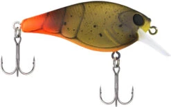 Berkley SquareBull 2 3/8 Inch Shallow Squarebill Crankbait -Fishing Gear Sale Berkley Squarebull FiretailGreenCraw 55 alt2 2000