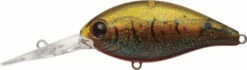 Evergreen International CR-10 Deep Diving Crankbait -Fishing Gear Sale EVG CR 10 216 Olive Crawdad