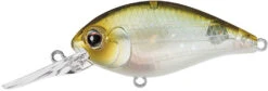 Evergreen International CR-10 Deep Diving Crankbait -Fishing Gear Sale Evergreen CR 420 5203f195 bbca 4378 b397 b08b3a4195de