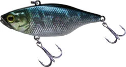Jackall TN 50/60/70 Lipless Crankbait -Fishing Gear Sale FishJackall TN HL AURORA BLACK primary