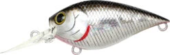 Lucky Craft LC 0.7 DR Deep Running Crankbait -Fishing Gear Sale LC 0 7DR 419BPGSN