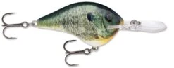Rapala DT Series Crankbait DT16 -Fishing Gear Sale Live Bluegill 33de4d69 a516 4749 afce 604f7481303d