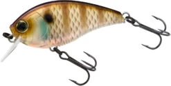 Yo-Zuri 3DB Crank 1.5 Shallow Squarebill Crankbait -Fishing Gear Sale R1352 NBG