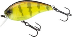 Yo-Zuri 3DB Crank 1.5 Shallow Squarebill Crankbait -Fishing Gear Sale R1352 PCPC