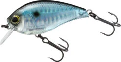 Yo-Zuri 3DB Crank 1.5 Shallow Squarebill Crankbait -Fishing Gear Sale R1352 PSH