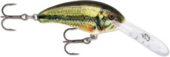 Rapala Shad Dancer SDD05 Medium Diving Crankbait -Fishing Gear Sale SDD LBL