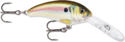 Rapala Shad Dancer SDD05 Medium Diving Crankbait -Fishing Gear Sale SDD RSL