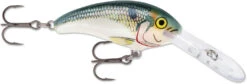 Rapala Shad Dancer SDD05 Medium Diving Crankbait -Fishing Gear Sale SDD SD