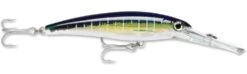 Rapala X-Rap Magnum 40 Big Game Slash Bait -Fishing Gear Sale Sailfish UV 49f7a10f d6dd 4b31 86c5 efe898da306a