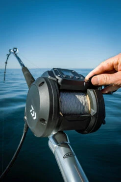 Daiwa Tanacom 800 Power Assist Electric Dendoh Reel -Fishing Gear Sale TANACOM 800 41