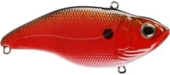SPRO Aruku Shad 65 Lipless Crankbait -Fishing Gear Sale Texas Craw 993063b6 e2f5 4688 99b7 4274a26753ee