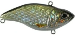 SPRO Aruku Shad 65 Lipless Crankbait