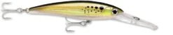 Rapala X-Rap Magnum 40 Big Game Slash Bait -Fishing Gear Sale bunker 628d1cb7 16e9 4812 9d82 e4fb9334c5e2