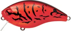 Evergreen International CH-1 Waking Crankbait -Fishing Gear Sale evergreen CH 1 064 firecraw