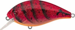 Evergreen International SH-3 Shallow Squarebill Crankbait -Fishing Gear Sale evergreen SH 3 223 speed craw