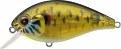 Evergreen International SH-3 Shallow Squarebill Crankbait -Fishing Gear Sale evergreen SH 3 286 skeleton pumpkinseed