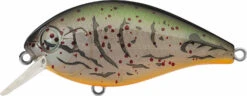 Evergreen International SH-3 Shallow Squarebill Crankbait -Fishing Gear Sale evergreen SH 3 363 albino craw