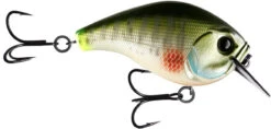 13 Fishing Scamp 1.5/2.5 Squarebill Crankbait -Fishing Gear Sale flipDream Gill